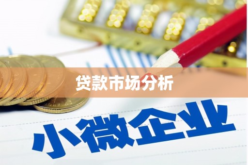 万江贷款市场分析