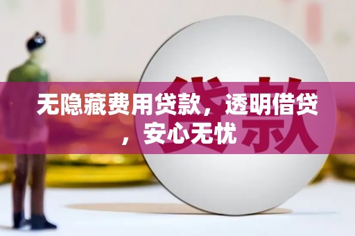 万江无隐藏费用贷款，透明借贷，安心无忧