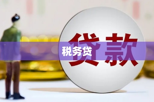 万江税务贷