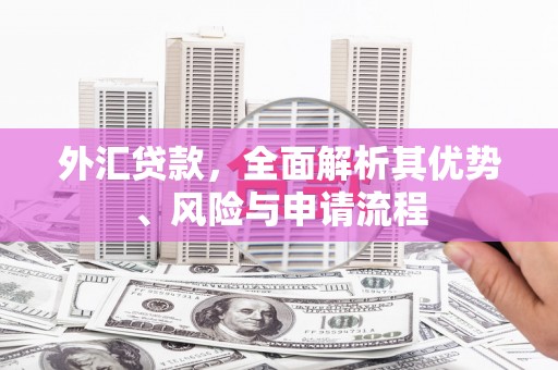 万江外汇贷款，全面解析其优势、风险与申请流程