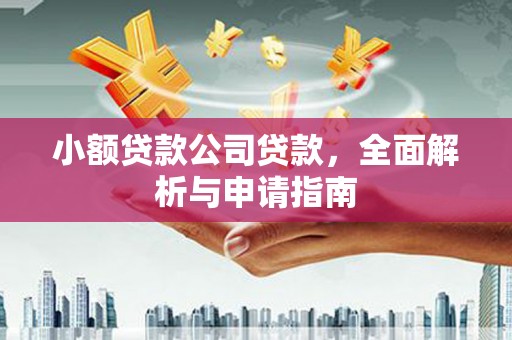 万江小额贷款公司贷款，全面解析与申请指南
