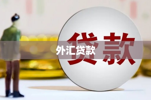 万江外汇贷款
