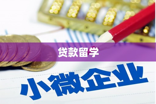 万江贷款留学