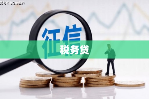 万江税务贷