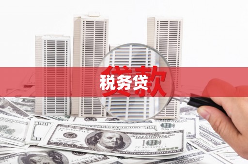 万江税务贷