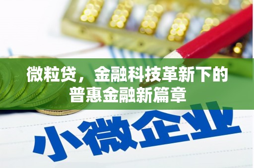 万江微粒贷，金融科技革新下的普惠金融新篇章