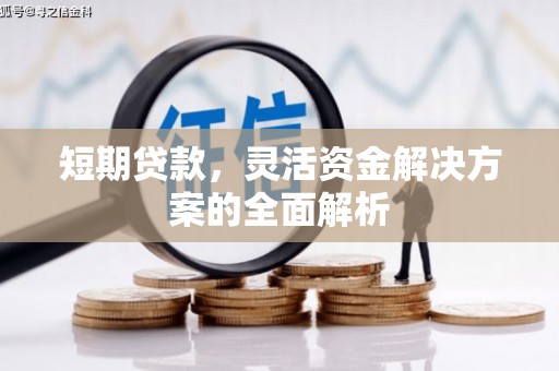 万江短期贷款，灵活资金解决方案的全面解析