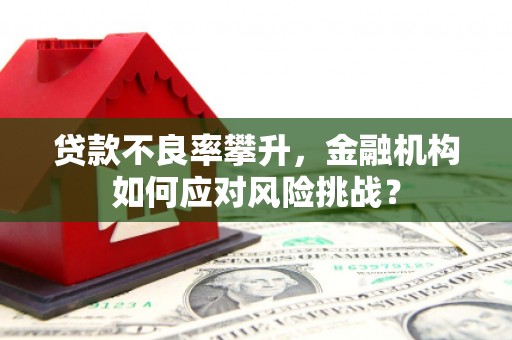 万江贷款不良率攀升，金融机构如何应对风险挑战？