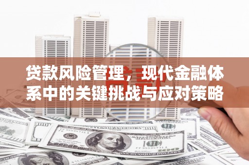 万江贷款风险管理，现代金融体系中的关键挑战与应对策略