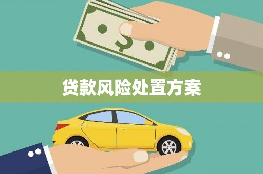 万江贷款风险处置方案