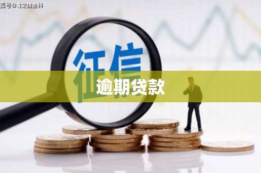 万江逾期贷款